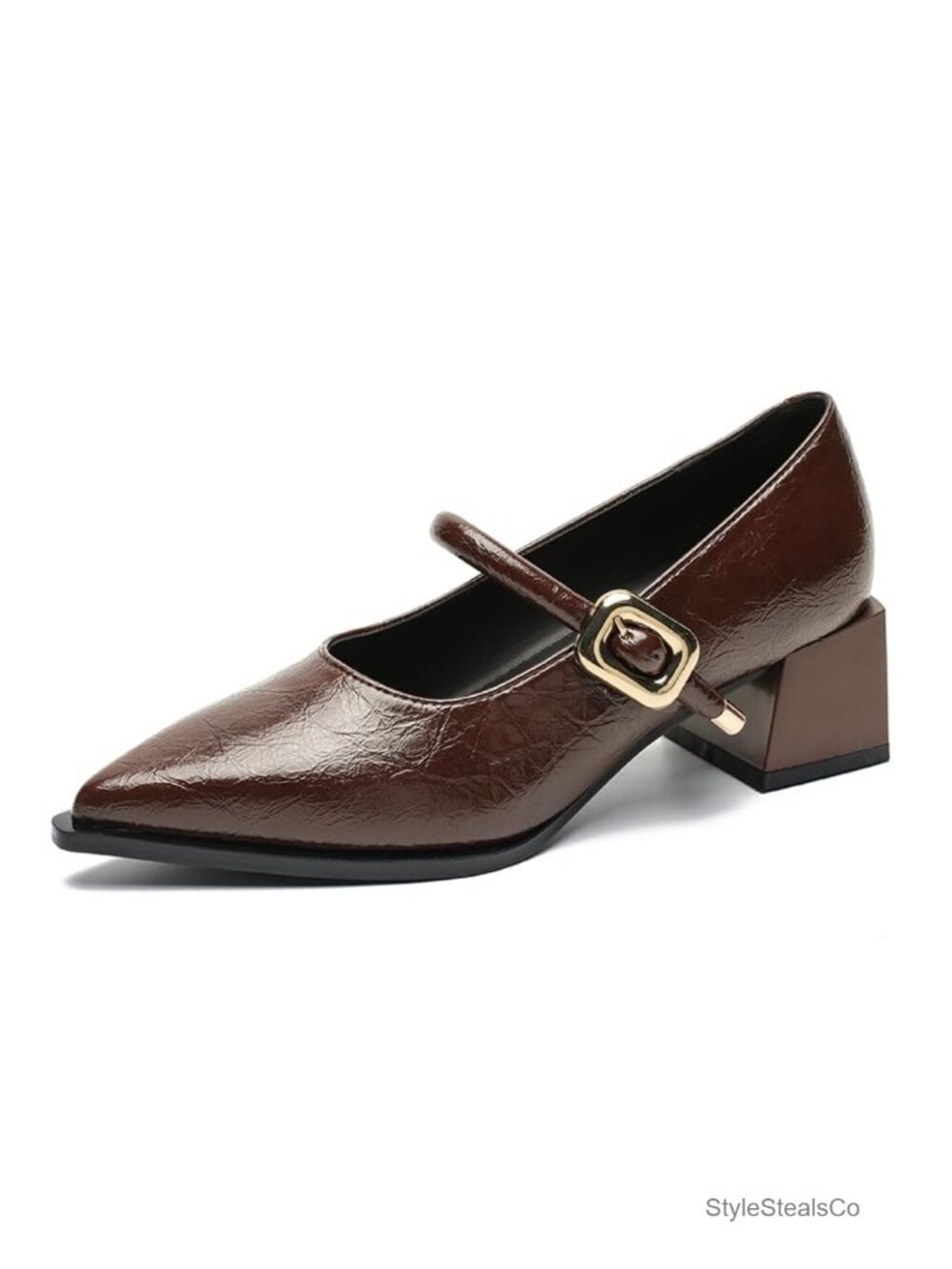 Pointed Toe Mary Jane Block Heel Pumps Buckle Strap